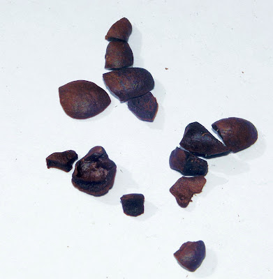 Defect4chips.jpg
