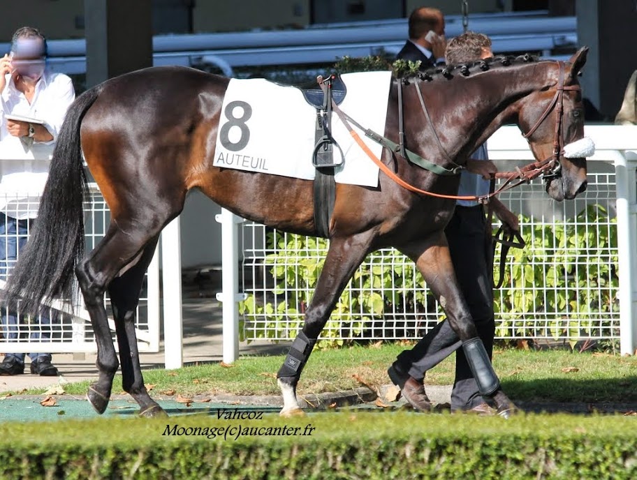 Photos Auteuil le 27-09-2014 IMG_4530