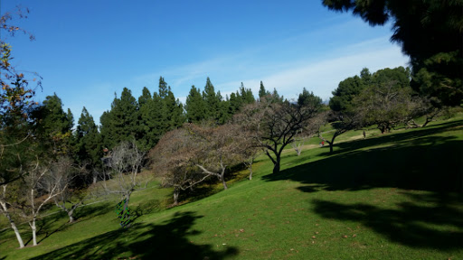 Park «La Mirada Community Regional Park», reviews and photos, 13701 Adelfa Dr, La Mirada, CA 90638, USA