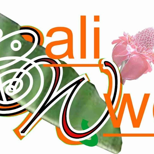 Bali Wellness logo