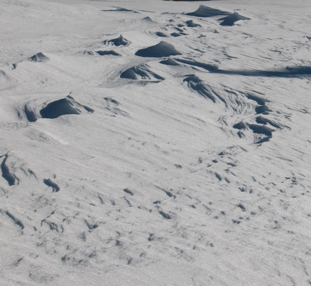 [CR & photos] WE raquettes à neige dans le Vercors Dunes_de_glace