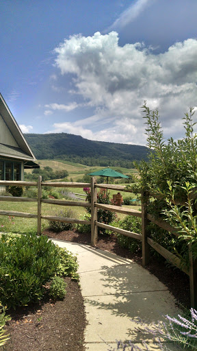 Vineyard «Glen Manor Vineyards», reviews and photos, 2244 Browntown Rd, Front Royal, VA 22630, USA