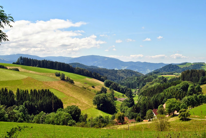Triberg, St. Georgen y Schiltach. - Alsacia, Selva Negra y Suiza. (3)