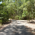 Sealed trail in Richley Reserve (401764)