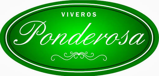 Viveros Ponderosa, Col. Loma Bonita, 1o. de Julio, Hueyatenco, 73161 Tenango de las Flores, Pue., México, Vivero mayorista | PUE