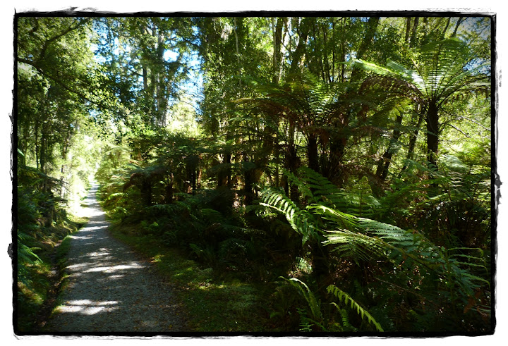 De Wanaka a Franz Josef: West Coast - Te Wai Pounamu, verde y azul (Nueva Zelanda isla Sur) (9)
