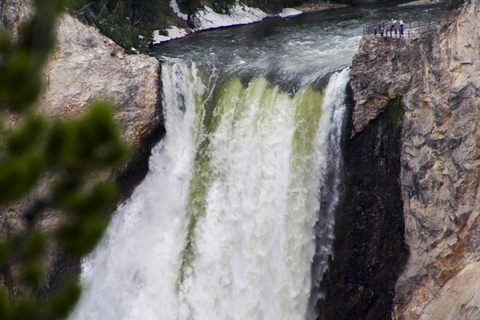 NUESTRO VIAJE AL PLEISTOCENO: YELLOWSTONE Y GRAND TETON - Blogs de USA - YELLOWSTONE NATIONAL PARK (7)