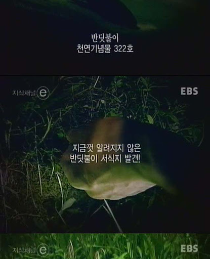 딜레마.jpg