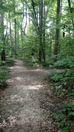 Nature Preserve «Swift Creek Bluffs Nature Preserve», reviews and photos, 7800 Holly Springs Rd, Raleigh, NC 27606, USA