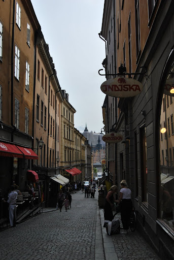 DSC_0480.JPG