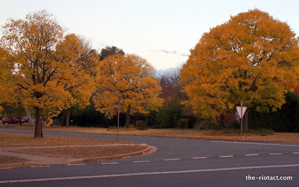 autumn