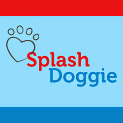 Splash Doggie