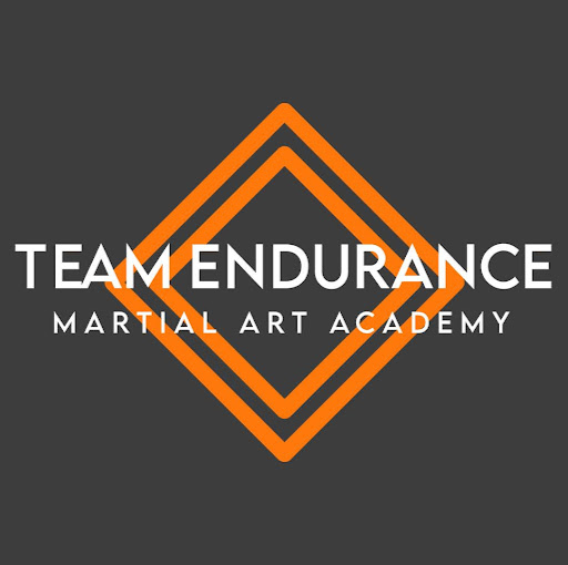Team Endurance MMA/ Brazilian JiuJitsu & Kickboxing Academy logo