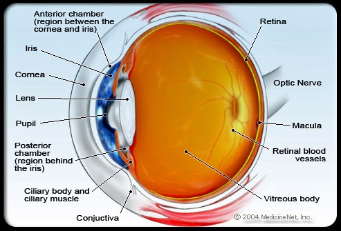 Health Tips: SARVENDRIANAAM NAYANAM PRADHANAM: COMMON EYE PROBLEMS IN ELDERLY PEOPLE