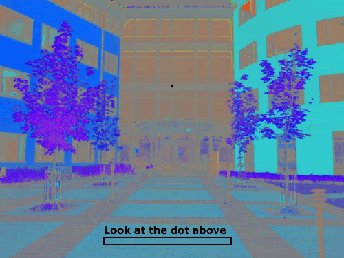 Look At The Dot Above - Optical Illusion