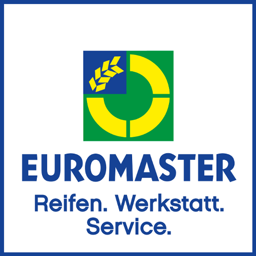 EUROMASTER Pleidelsheim logo