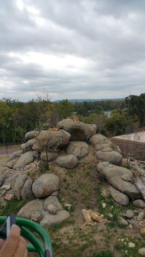 Foundation «The Henry Doorly Zoo», reviews and photos, 3701 S 10th St, Omaha, NE 68107, USA
