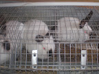 PC070069.JPG