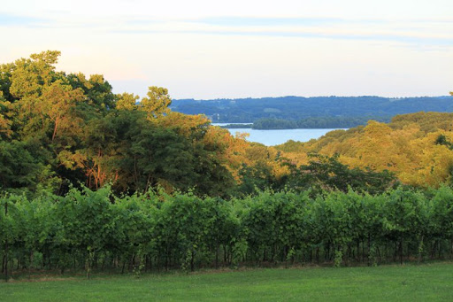Winery «Moon Dancer Vineyards & Winery», reviews and photos, 1282 Klines Run Rd, Wrightsville, PA 17368, USA