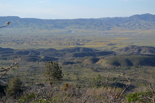 valley with splotches of orange among the green and brown