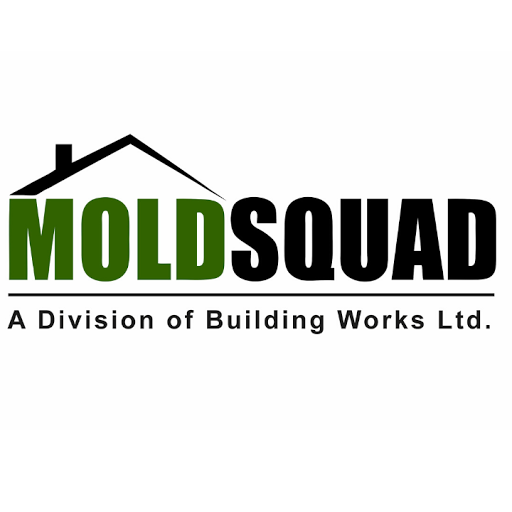 Mold Squad logo