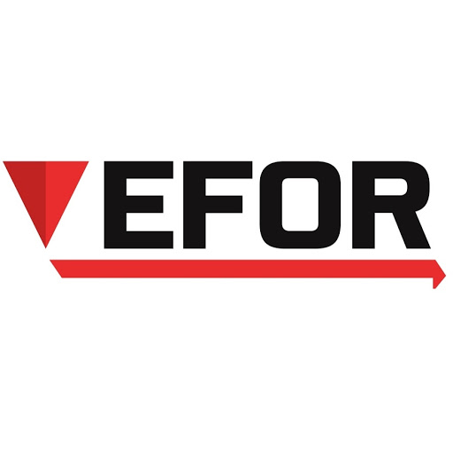 Efor Mühendislik ve Makine Sanayi Ticaret Limited Şirketi logo