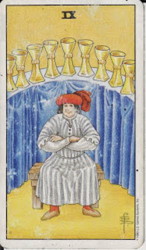 9 Nine Of Cups Ix