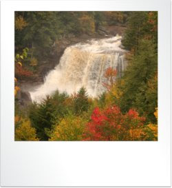 Blackwater Falls State Park: Davis, West Virginia – Hiking ... - 250 x 273 jpeg 17kB