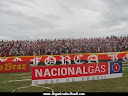 FORÇA JOVEM GUARANY