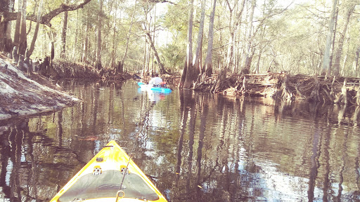 Nature Preserve «Green Swamp Wilderness Preserve», reviews and photos, 28057 FL-471, Webster, FL 33597, USA