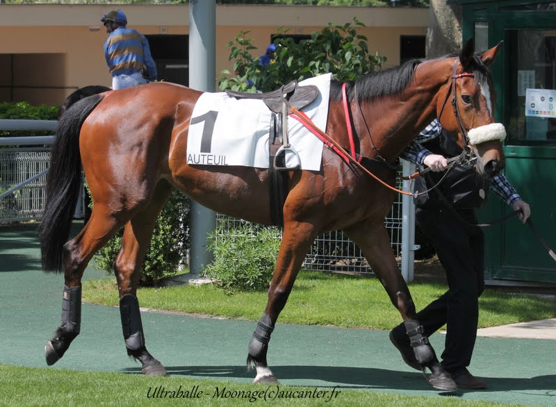 Photos Auteuil 22-05-2015 IMG_0790