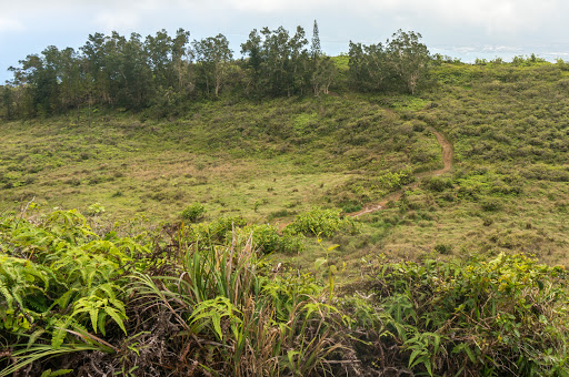 Waihee Ridge Trail