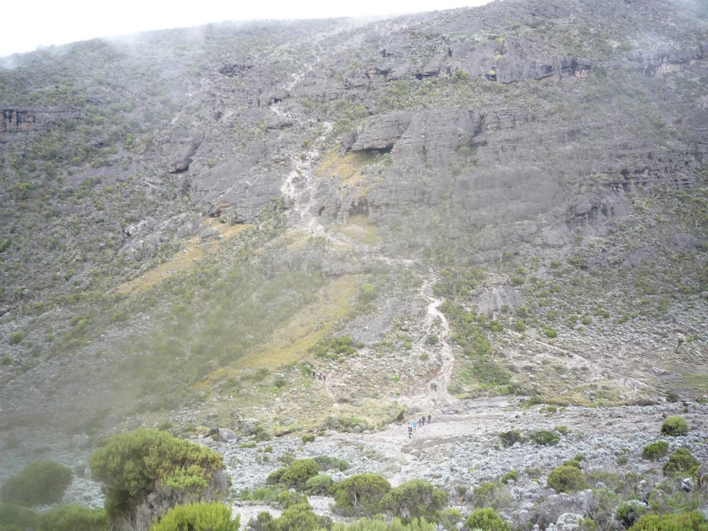 Танзания:Килиманджаро (Machame), Сафари, Занзибар. Январь 2013