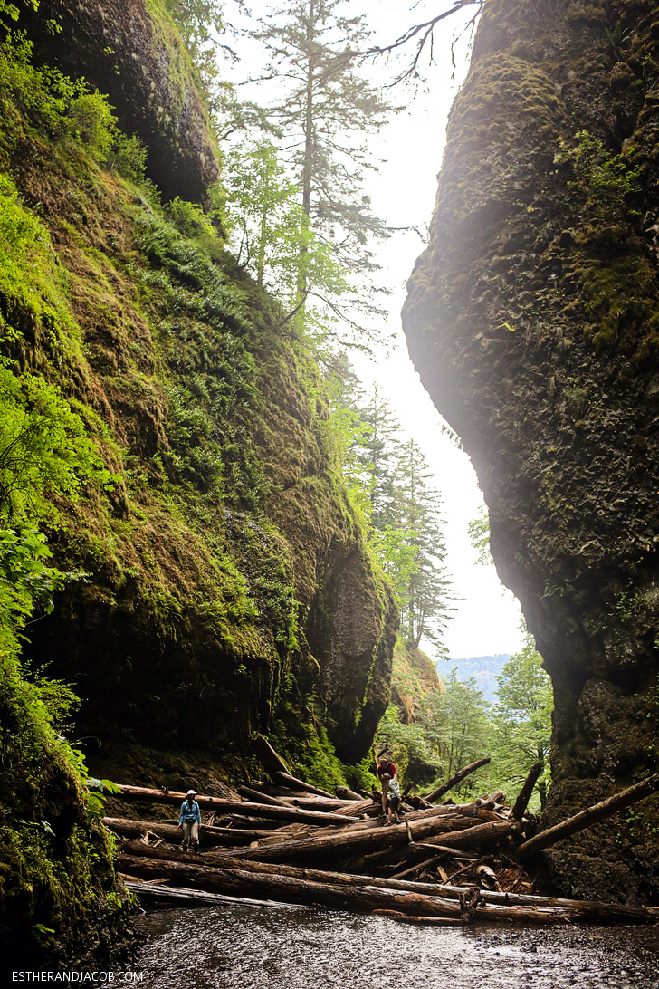 The Oneonta Gorge Hike | Hiking Oregon.