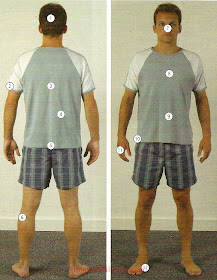 1. head 2. arm 3. back 4. waist 5. buttocks/ backside 6. leg 7. face 8. chest 9. stomach 10. hip 11. hand 12. foot Parts of the body - Body - Picture Dictionary