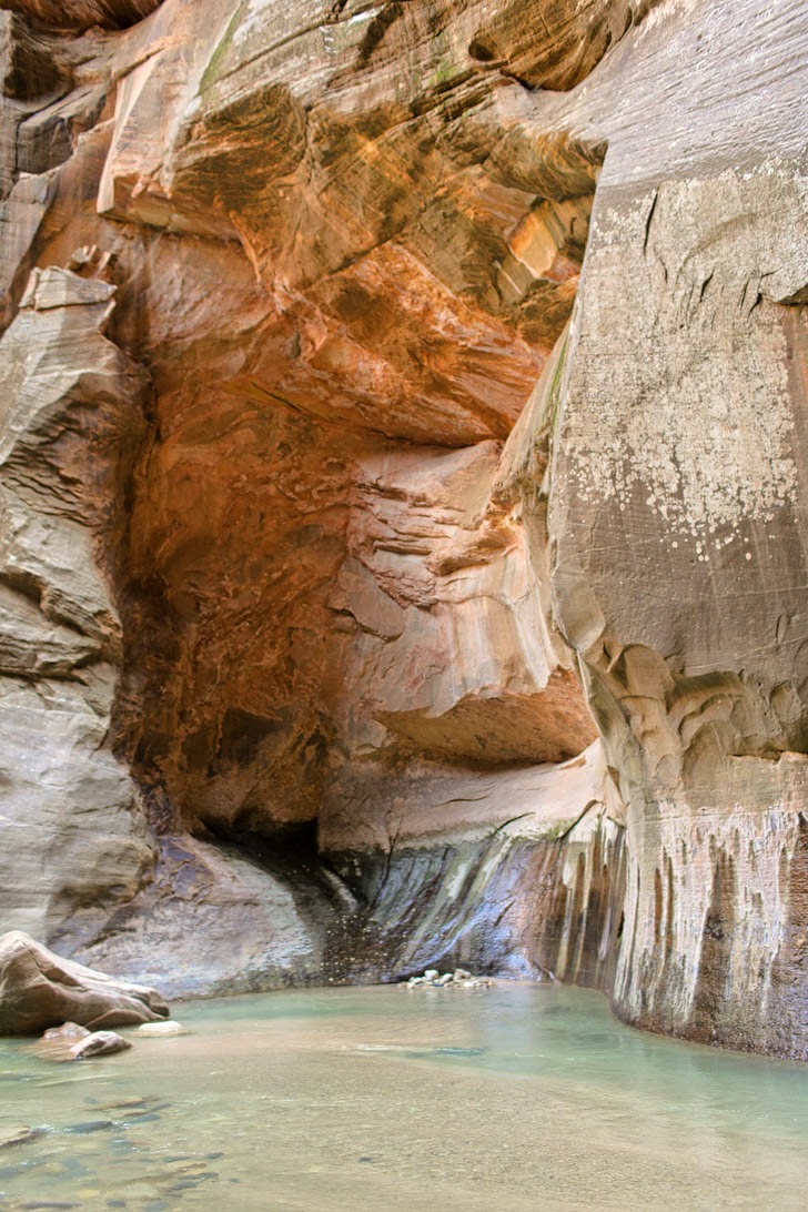 Hiking the Narrows Zion National Park.