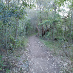 Track down towards Reef Beach (70546)