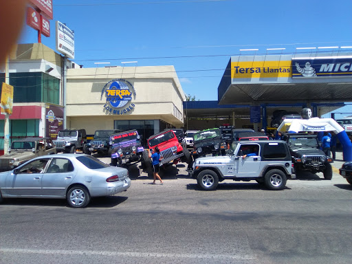Tersa Forjadores, Blvd. Forjadores 3512, Ruiz Cortines, 23040 La Paz, B.C.S., México, Tienda de repuestos para carro | BCS