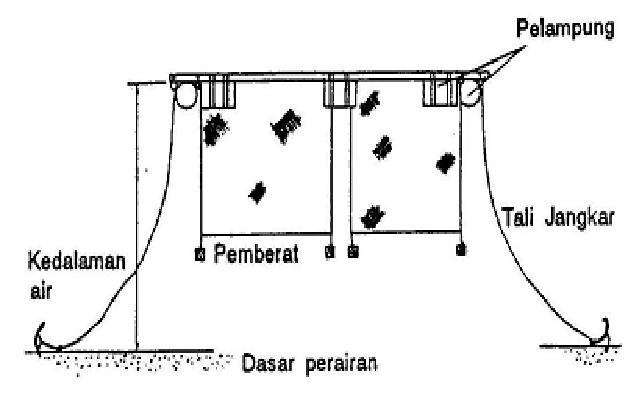 Anak Laut: Budidaya Ikan Kerapu