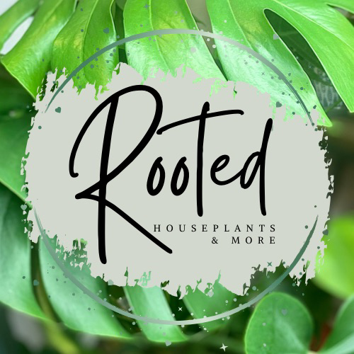 Rooted Houseplants & More