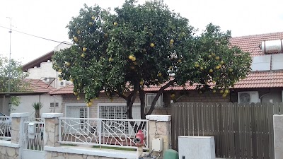 Photos of Jonathan Park