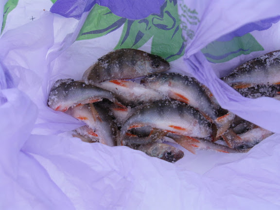 окуньки в кульку