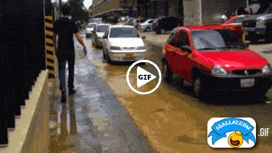 HUMOR: Ky Po Qe Eshte Djale i Shkathet