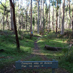 No Camping in Blue Gum Forest (50717)