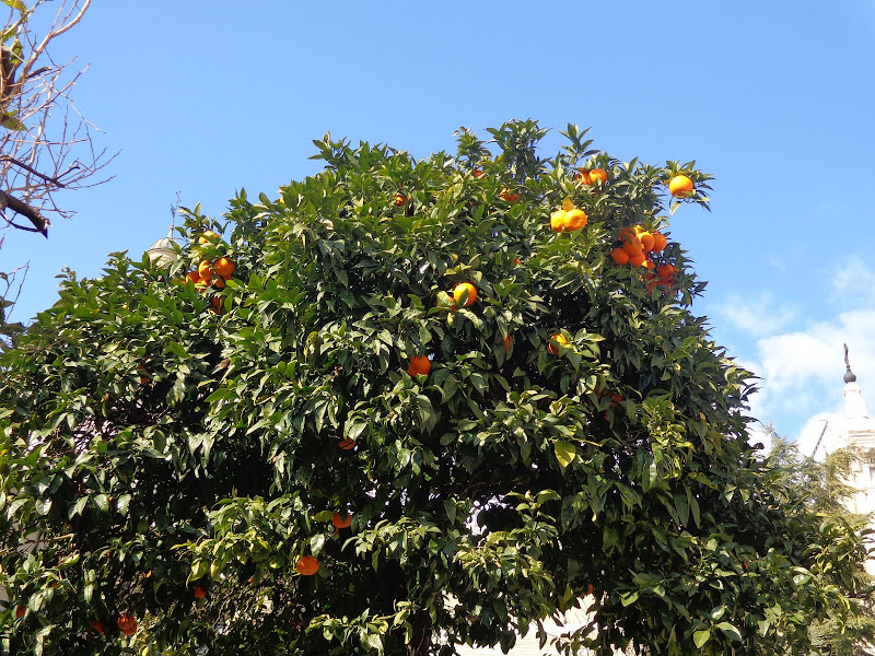 А включите-ка мне усилители качки! А подайте-ка белых пиджаков. Costa Paсifica февраль 13г