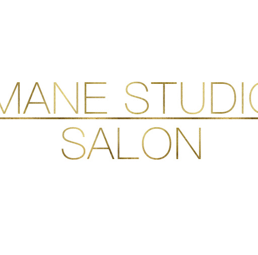 Mane Studio Salon logo