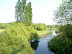 River Wensom at Drayton