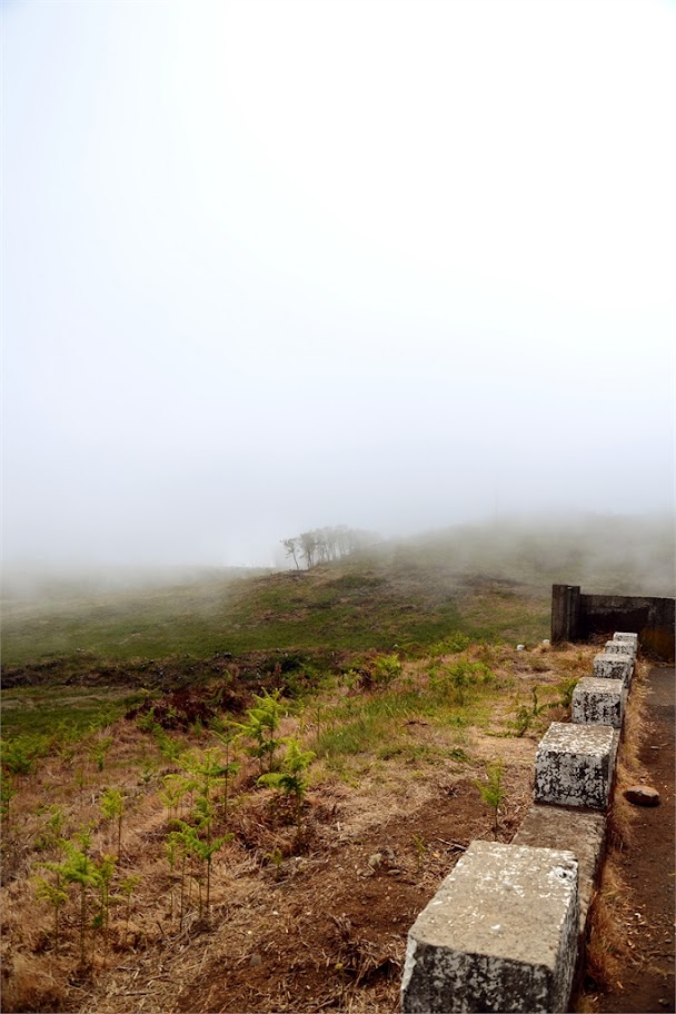 Наш взгляд на Португалию. Или свадебное путешествие на Мадейру.