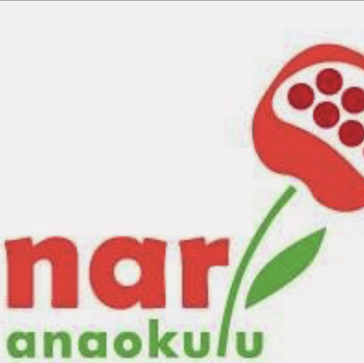 Özel Nar Anaokulu logo