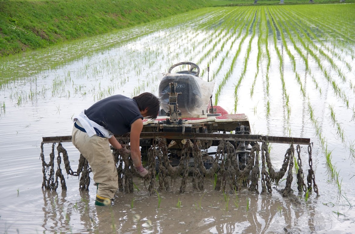 チェーンに絡みついた草を取る